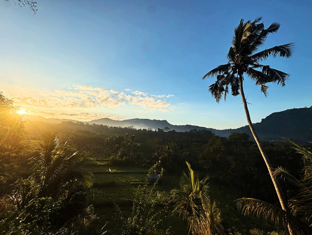 Sunrise over the rice terraces of Sideman, Bali