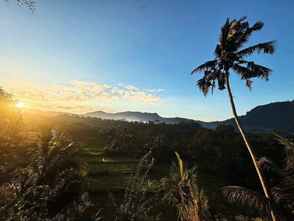 Sunrise over the rice terraces of Sideman, Bali