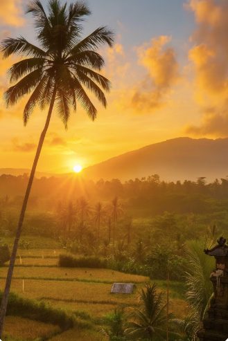 Sunset over the rice fields