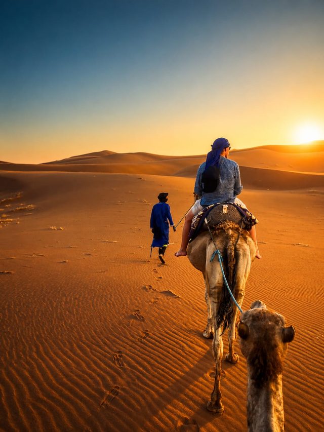 Camel trek across the dunes at sunset